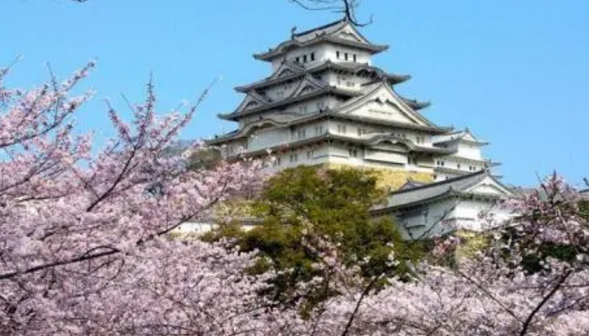 去日本高中留学