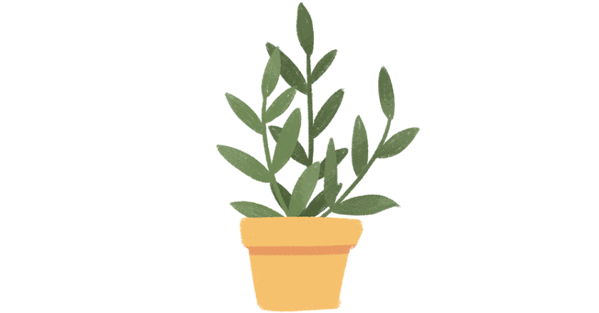 去日本高中留学