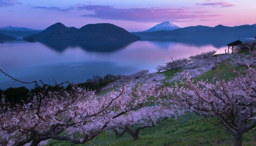 滋庆学园为您叙述去日本高中留学的优点