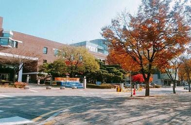 关于日本高中留学签证办理重要的三点问题