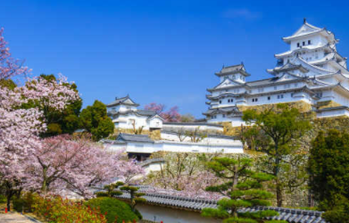 在初中有去日本高中留学的想法应该怎么准备？