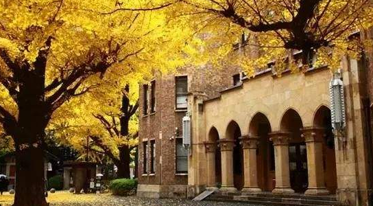 【去日本高中留学喜报】连续第7年！滋庆中日班全员合格日本名校高中！