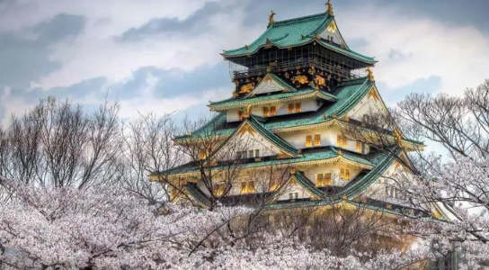 日本高中留学生 |【从偏差值认识名校】九州大学