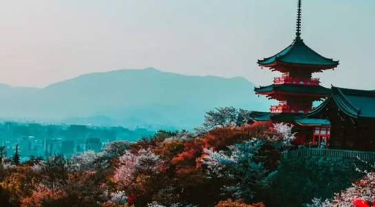 去日本高中留学，哪些物品需要携带，哪些物品禁止携带？