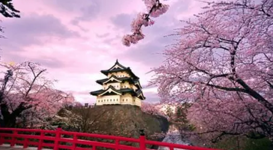 想去日本高中留学如何选择学校？来看看这些日本高中是否适合你？