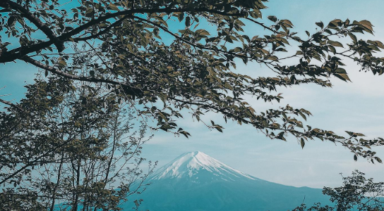 如何去日本高中留学，实现你的梦想