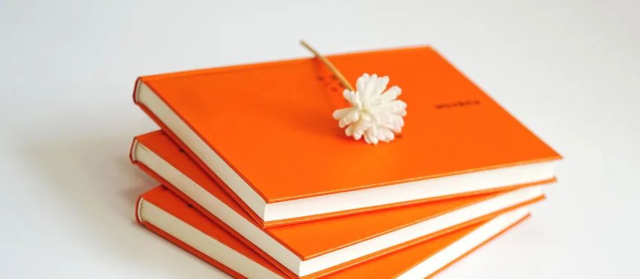 文化学园杉並高等学校课程设置详解（2023版）