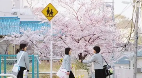 中学生去日本留学费用有哪些呢？