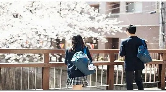 中学生日本留学费用详细解析-滋庆解答