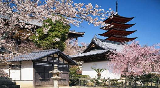 日本高中留学条件的独特魅力