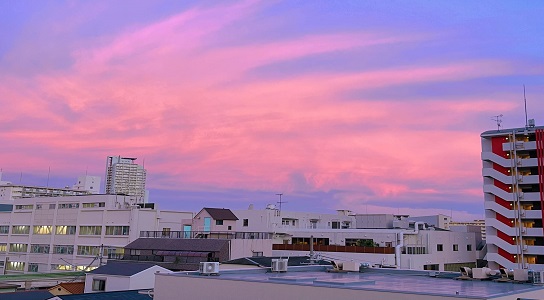 日本高中有什么特别的优势，许多学生都选择去日本留学